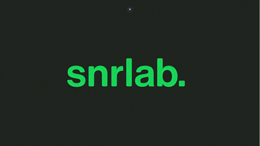 SNRLAB Presentation